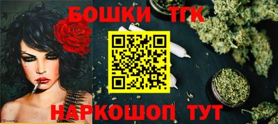мдпв Камышлов