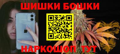 мдпв Камышлов