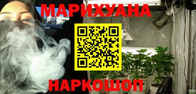 мдпв Камышлов