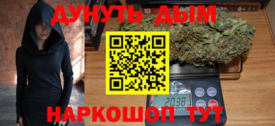 мдпв Камышлов