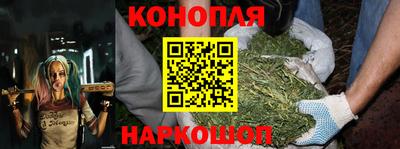 мдпв Камышлов