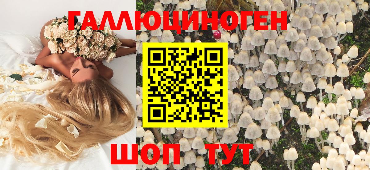 Галлюциногенные грибы MAGIC MUSHROOMS  Вход с VPN  Кудымкар 