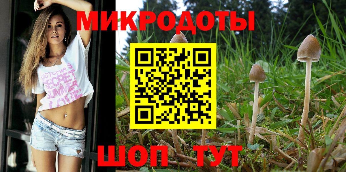Галлюциногенные грибы MAGIC MUSHROOMS Кудымкар